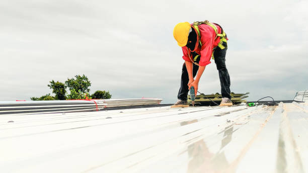 Best Storm Damage Roof Repair  in Goliad, TX